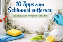 10 Tipps zum Schimmel entfernen