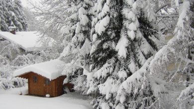 So machen Sie Ihr Holzgartenhaus für die kälteren Monate winterfest