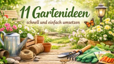 Gartenideen schnell und einfach umsetzen [Bild mit Hilfe von KI erstellt]