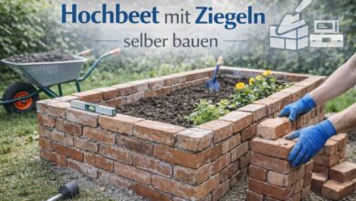 Hochbeet mit Ziegeln selber bauen [Bild mit Hilfe von KI erstellt]