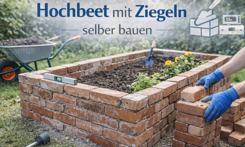 Hochbeet mit Ziegeln selber bauen