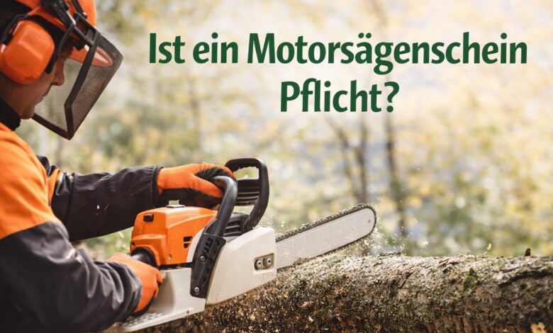 Ist ein Motorsägenschein Pflicht [Bild mit Hilfe von KI erstellt]