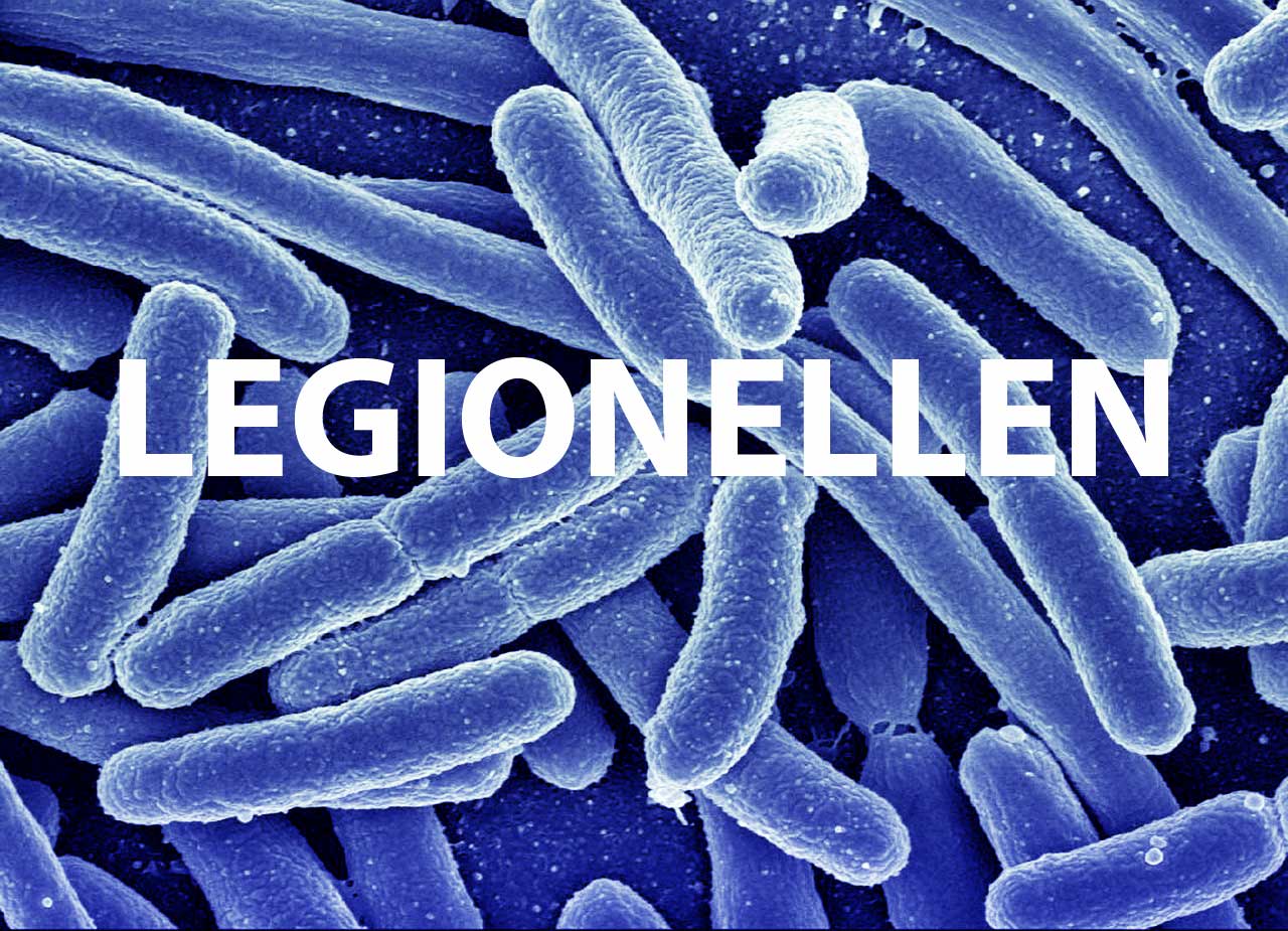 Legionellen – Keime im Trinkwasser