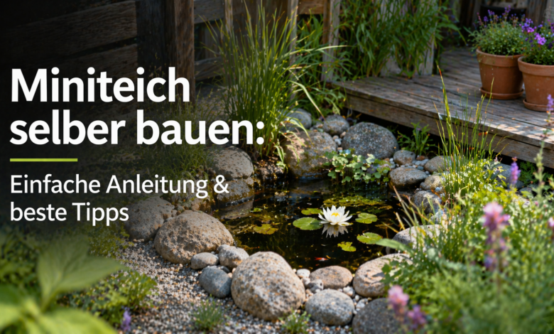 Miniteich selber bauen