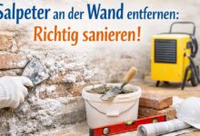 Salpeter an der Wand entfernen [Bild mit Hilfe von KI erstellt]