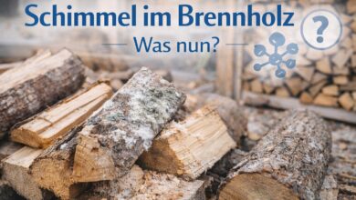 Schimmel im Brennholz
