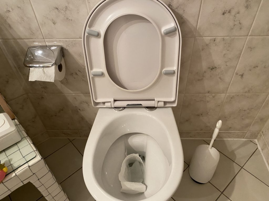 Verstopfte Toilette Was tun? So lösen Sie das Problem selber