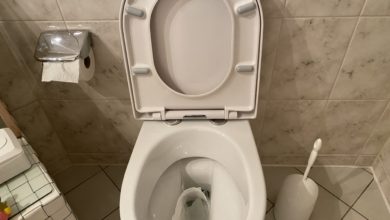 Was tun bei verstopfter Toilette