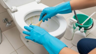 Wie kann man Wc entkalken