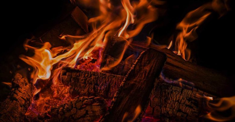 Brennholz-Einkauf im Sommer - So machen Sie ein richtiges Schnäppchen