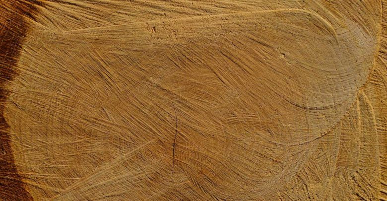 Brennholz Qualität - Wie Sie sehr gutes Holz erkennen und einen vernünftigen Preis aushandeln