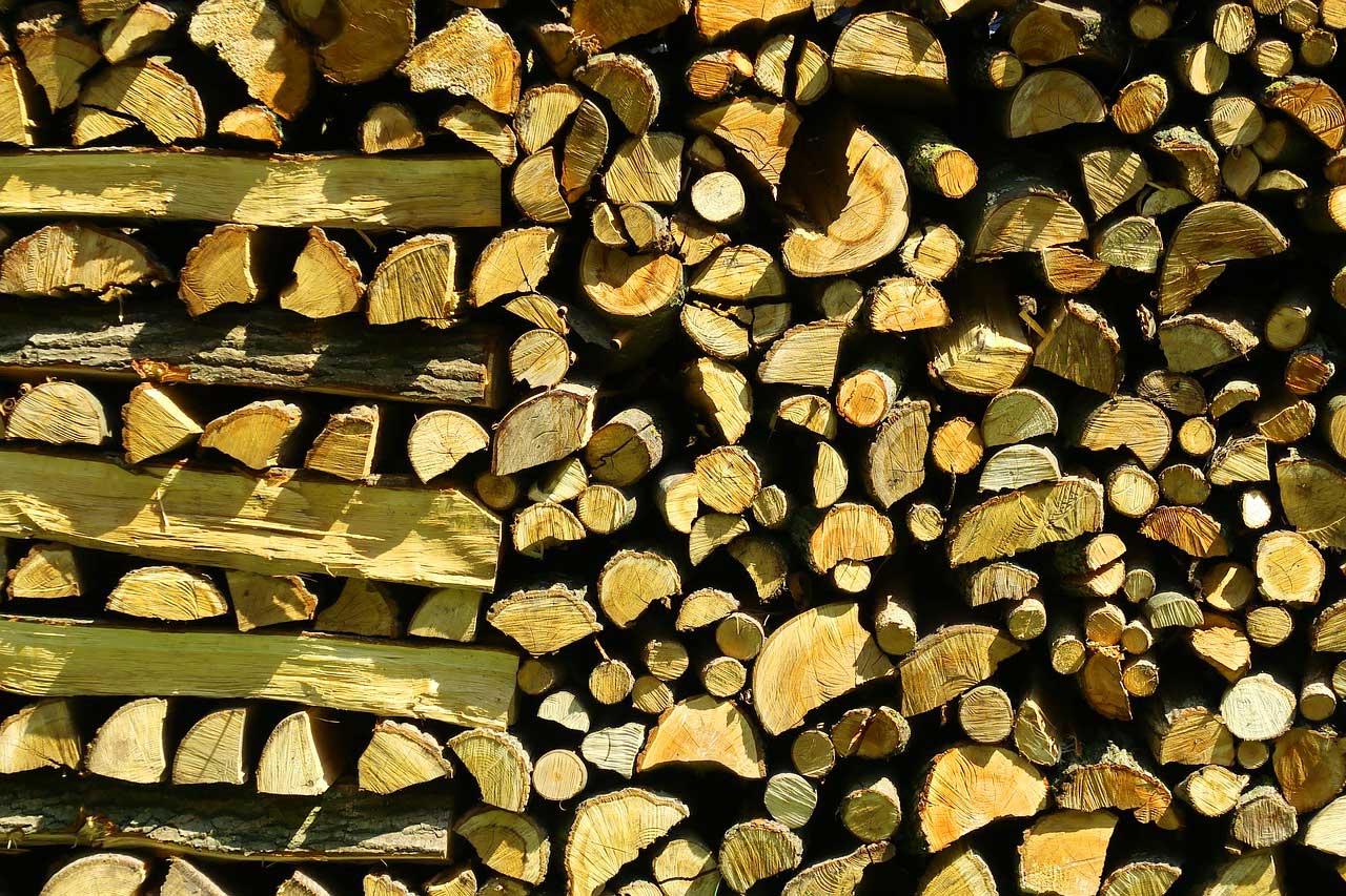 Brennholz richtig trocknen - So klappt's