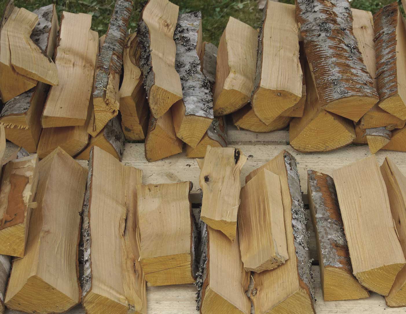 Staatliche Förderung der Holzheizung – Infos & Tipps
