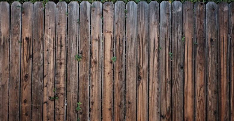 Zaun Sichtschutz Fur Maschendraht Oder Holz Ratgeber